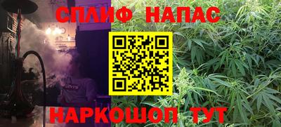 шишки Тверь