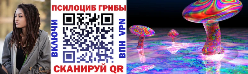 где купить Баксан Псилоцибиновые грибы Cubensis