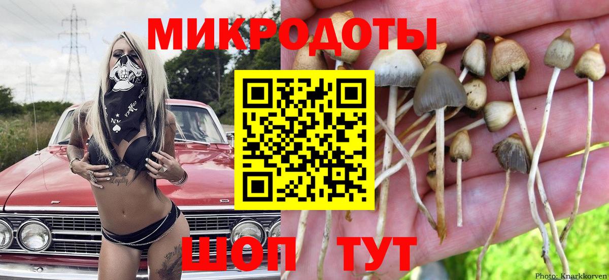 Галлюциногенные грибы ЛСД  Вход с VPN  Псилоцибиновые грибы Magic Shrooms  Баксан 