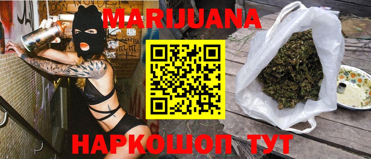 Конопля сатива Баксан